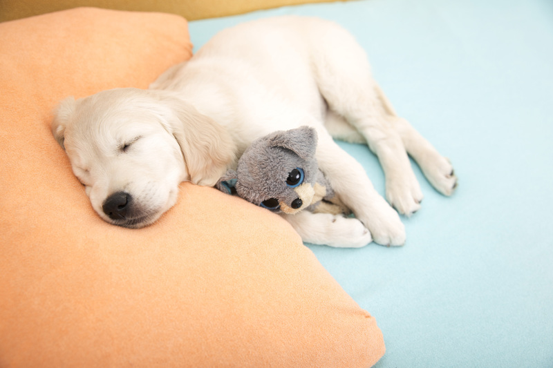 Restore Harmony with Compassionate Clutter Removal and Hoarder Clean Up