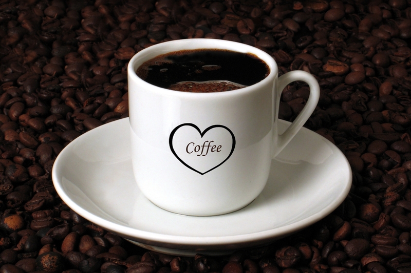 waste removal waste disposal