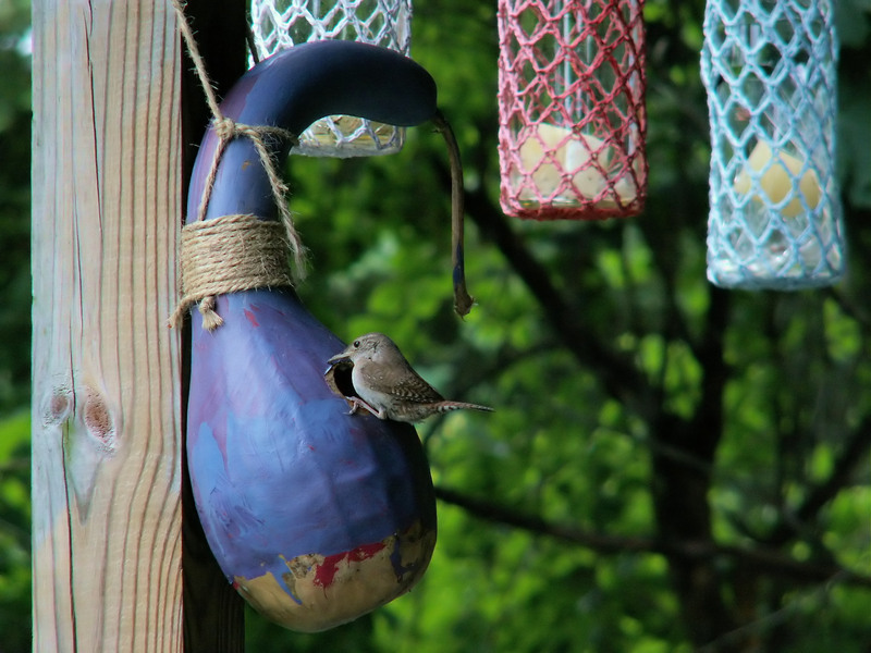 Upcycling as Art: Transforming Trash Into Thought-Provoking Sculpture